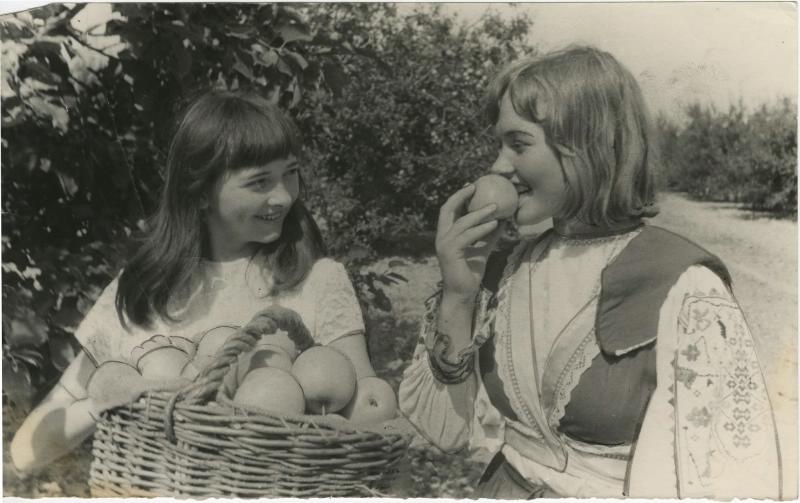 Катя Трил и Лиза Микяц. Сбор урожая яблок, 7 сентября 1968