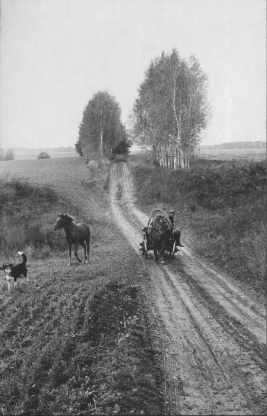 Проселочная дорога, 1982 - 1983, Украинская ССР, Черниговская обл., пгт. Седнев