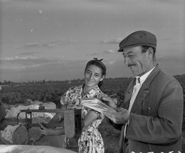 Взвешивание хлопка, 1955 - 1965, Армянская ССР. Колхозники ведут учет хлопка. Мужчина записывает вес взвешенных мешков хлопка, а женщина помогает ему.