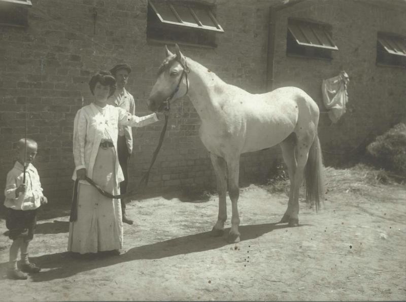 Жеребец Кот, 1890-е