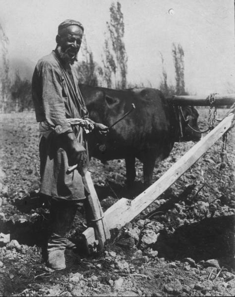 Из серии «Товарищ», 12 апреля 1932, Узбекская ССР, колхоз «Уртак». Крестьянин с плугом.