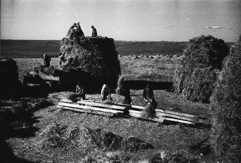 Обработка зерновых, 1935 - 1945, СССР