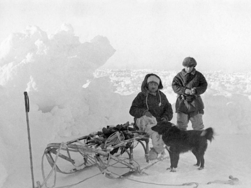 Иван Папанин, Евгений Федоров в районе станции «Северный Полюс-1», рядом пес по кличке Веселый, сентябрь 1937