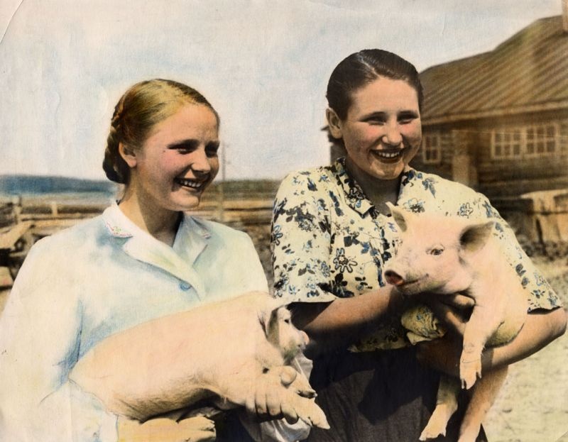 Сестры Зоя и Маша Пахомовы из колхоза имени Куйбышева, 1950 год, Владимирская обл., Муромский р-н, колхоз им. Куйбышева