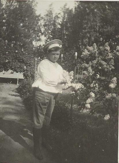 Портрет мальчика у сирени, 1890 - 1909. Выставка «Май, значит сирень!» с этой фотографией.