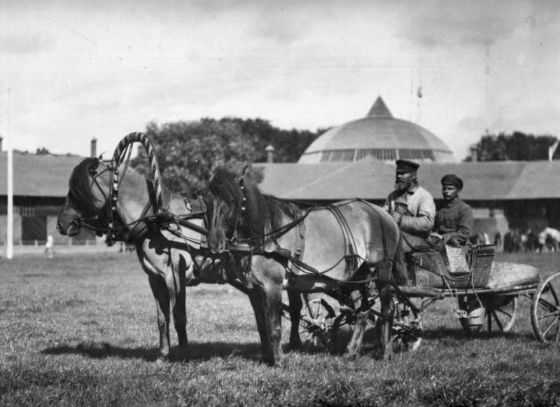 Повозка с парой лошадей, 1917 - 1920
