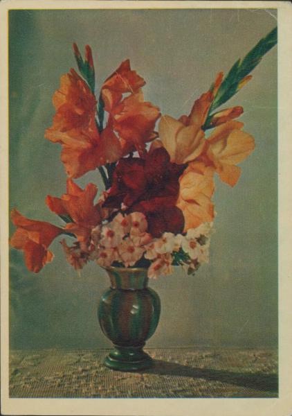 Букет гладиолусов с флоксами, 1957 год. Выставка «Язык цветов» с этой фотографией.