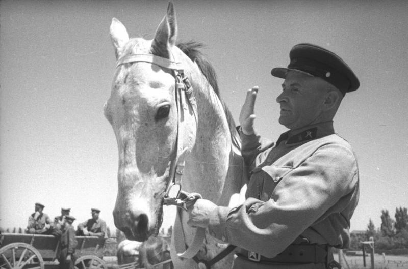 Капитан кавалерии, 1936 - 1939
