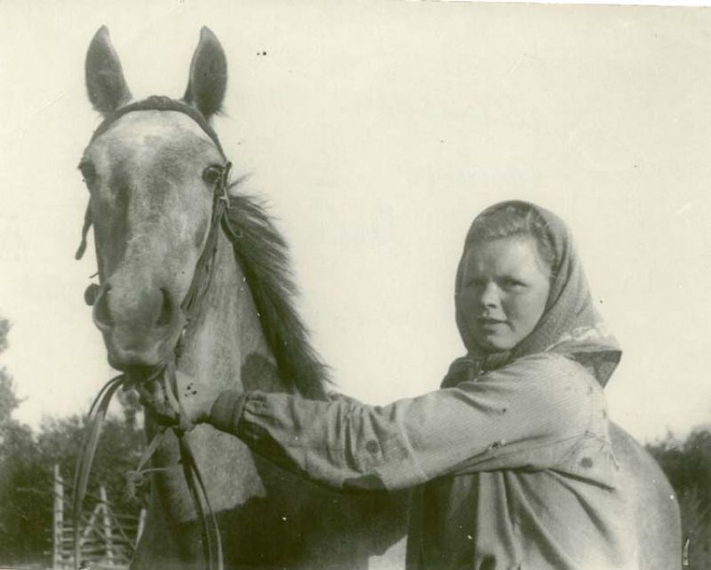Молодой конюх колхоза «Красный шекснинец» т. Заботкина с племенной лошадью, 1954 год, Череповецкий р-н. Выставка «Сельские женщины СССР» с этой фотографией.
