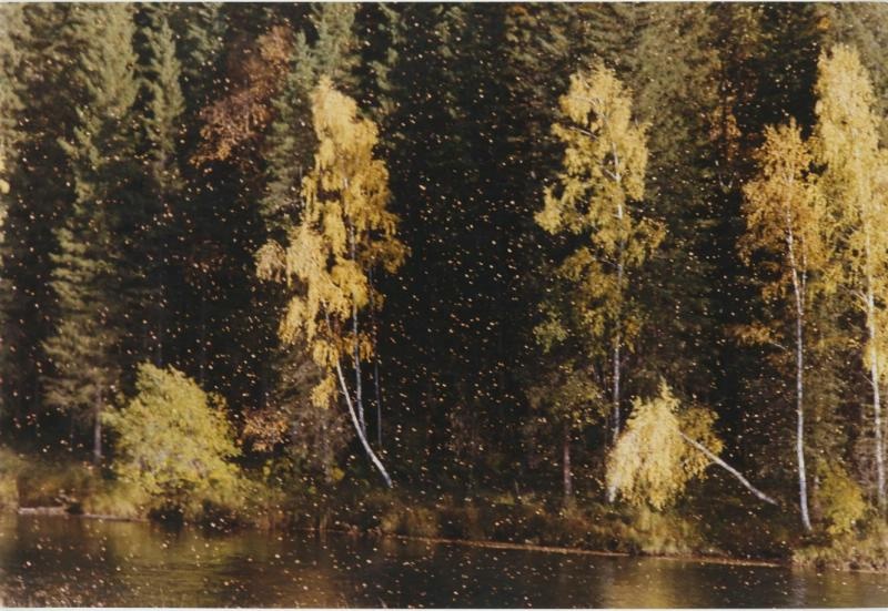 Осень, 1980-е