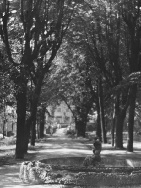Усадьба Найденова. В парке, 1948 год, г. Москва. Нынешняя улица Земляной вал.