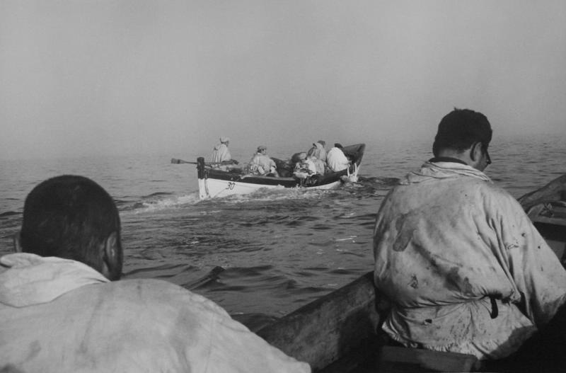 Охота на моржа, 1972 год, Чукотский национальный округ