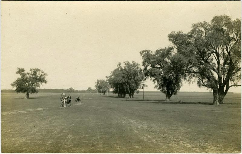 Большая дорога, обсаженная старыми ветлами, 1920-е
