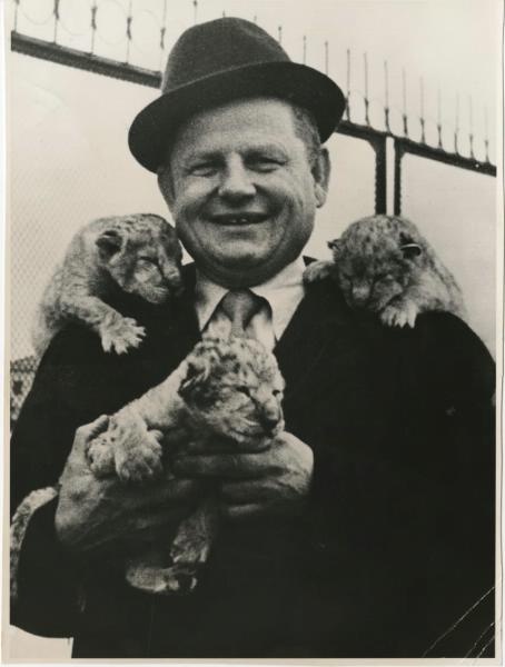 Мужчина со львятами, 1960-е