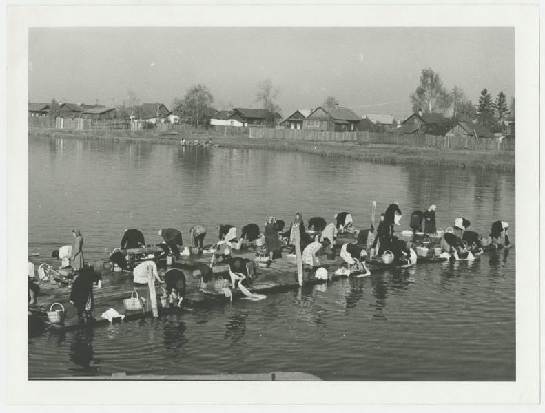 Стирка на реке Сухонь, 1950 год, Вологодская обл.