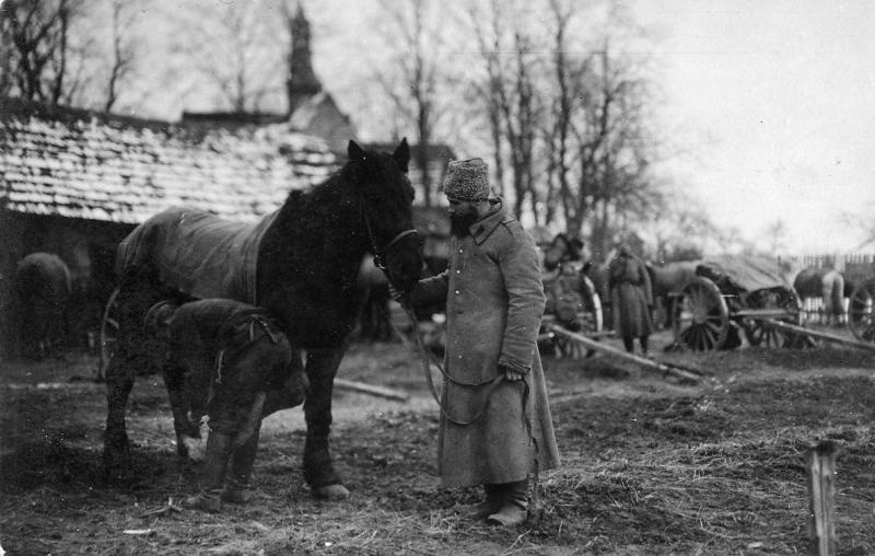 Снаряжение лошади, 1915 год