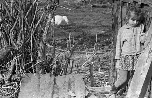 Калининградские фотографии разных лет. Калининградское село., 1960-е, Калининградская область