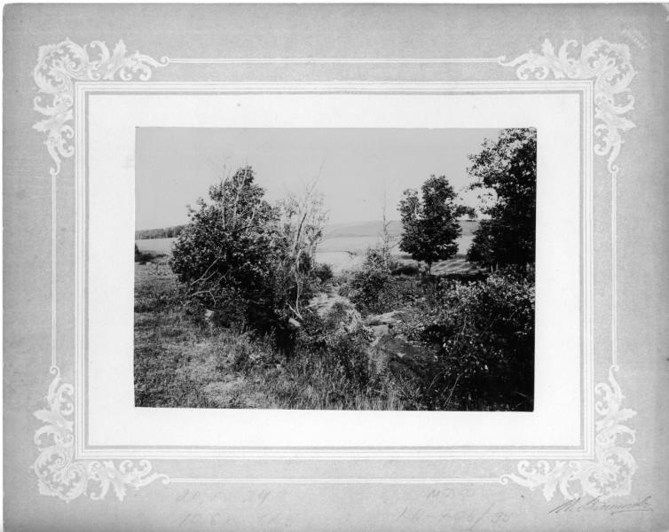Без названия, 1910-е. Загородный пейзаж