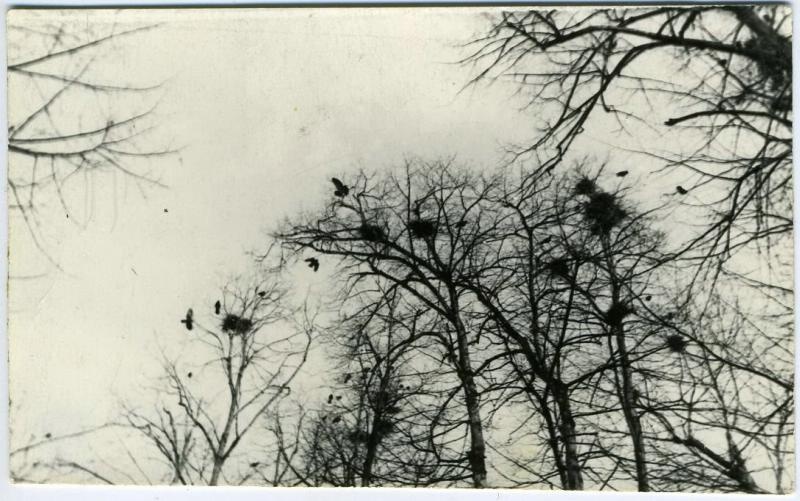 «Грачи прилетели!», 1969 год