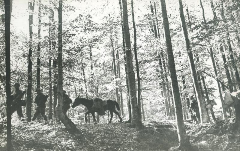 Партизаны. В карпатских лесах, 1941 - 1945, Украинская ССР