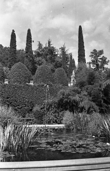 Никитский Ботанический сад. Пруд, 1932 - 1939, Крымская АССР. Выставка «Никитский ботанический сад» с этой фотографией.&nbsp;