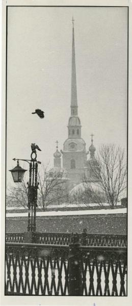 Зима, 1980-е, г. Ленинград. Выставка «Птицы» с этой фотографией.&nbsp;