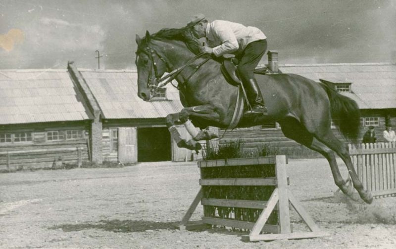 Скачки с препятствиями, 3 сентября 1961, г. Череповец