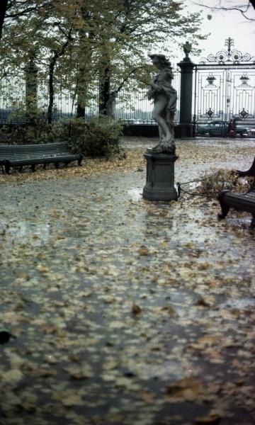 Осень в Летнем саду, 1961 - 1969, г. Ленинград, Летний сад