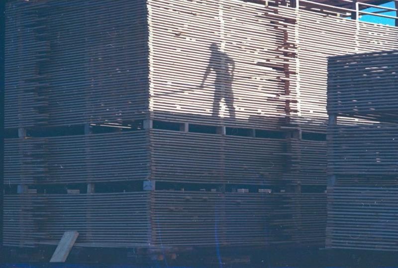 Тень рабочего на штабелях из досок, 1965 год, г. Архангельск. Выставка «Свет и тени» с этой фотографией.&nbsp;