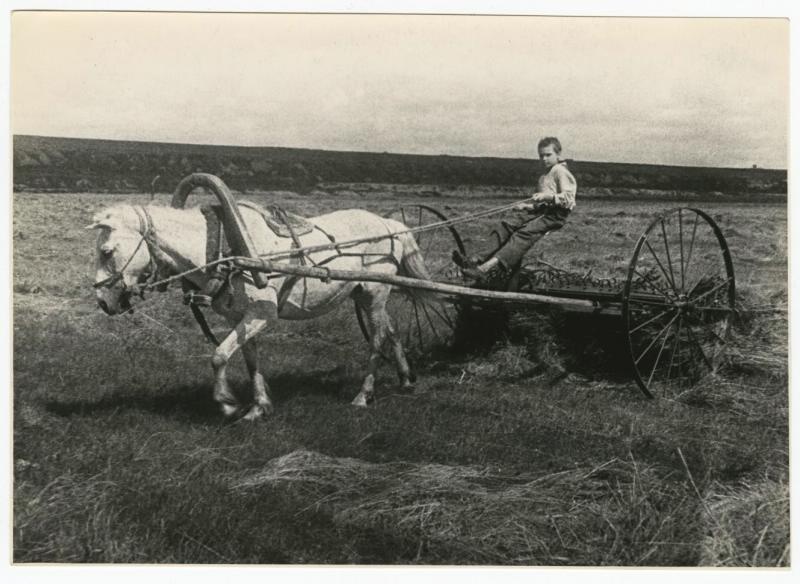 Пионер Ваня Подкатнов работает в поле, 1942 год. Выставка «20 лучших фотографий Сергея Васина» с этой фотографией.&nbsp;