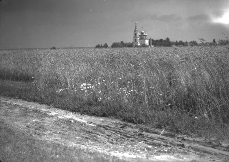 Вид на поле и Никольскую церковь села Пушкино, 1920-е