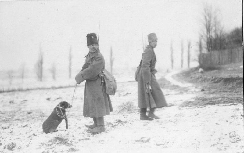 Разведчики с собакой, 1915 год