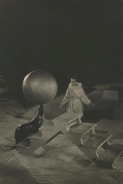 Владимир Дуров с морским львом, 1940 год