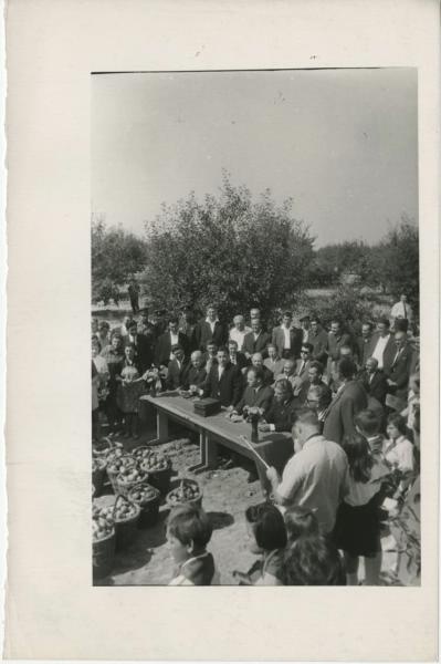 Урожай, 1960-е