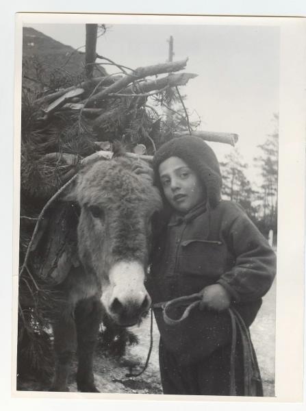 Мальчик и ослик, 1970-е