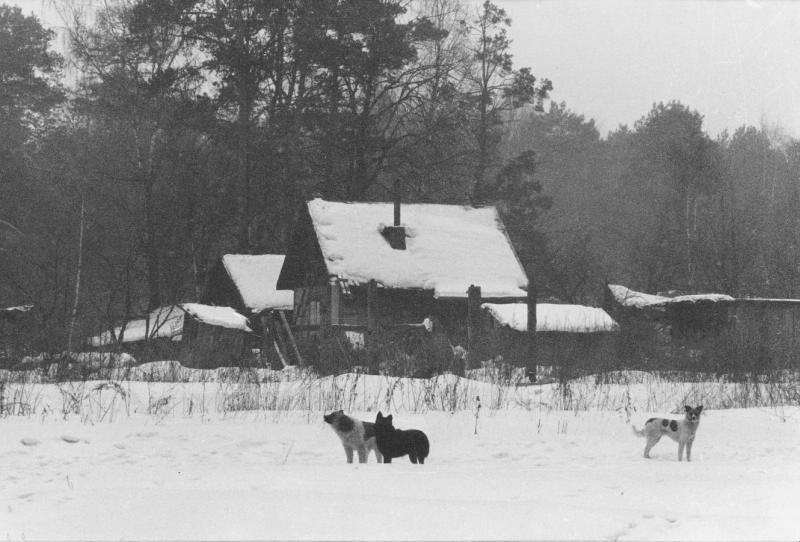 Зима, 1982 - 1983, Украинская ССР, Черниговская обл., пгт. Седнев