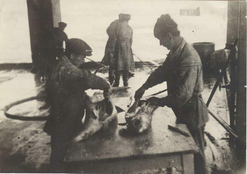 Фото 23, 1930 - 1931, Дагестанская АССР
