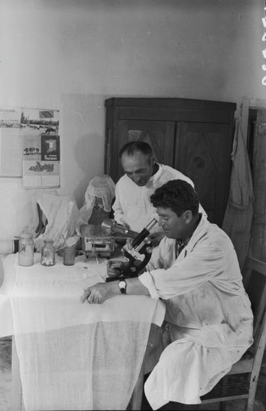В лаборатории, 1955 - 1965, Армянская ССР, г. Ереван. На столе стоит микроскоп МБУ-4.