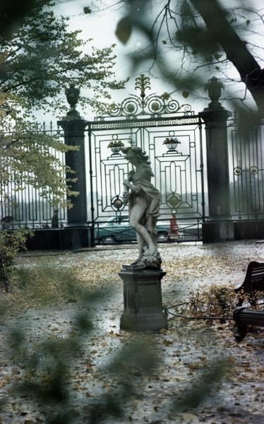 Осень в Летнем саду, 1961 - 1969, г. Ленинград, Летний сад