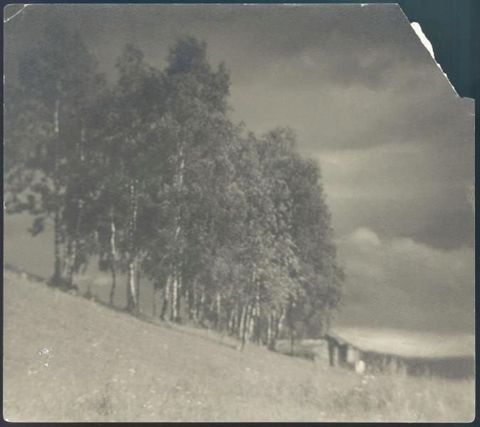 Осеннее солнце, 1936 год