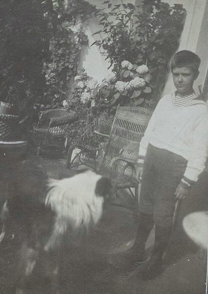 Портрет мальчика с собакой, 31 декабря 1900 - 31 декабря 1909