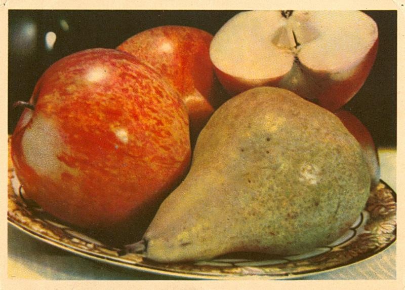 Фрукты, 1949 год. Выставка «Food фотография» с этим снимком.