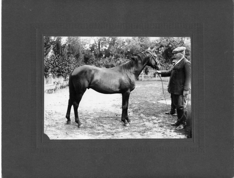 Конь Могучий, 1910-е