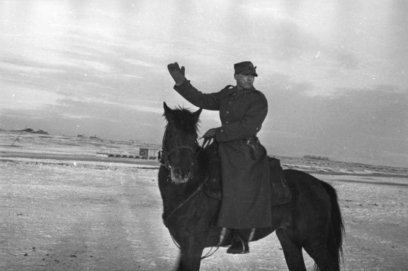Польская дивизия. Польский кавалерист на коне, 1941 - 1942, Оренбургская обл.