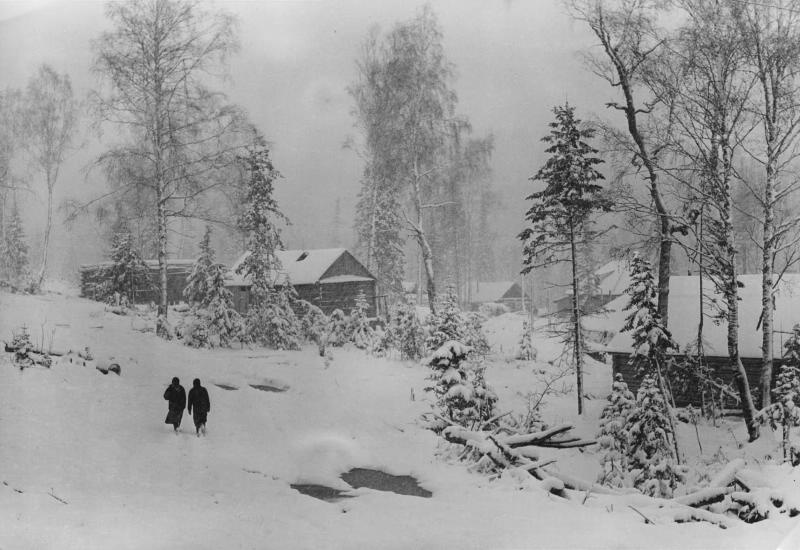 Зима, 1960-е. Выставки:&nbsp;«Зима в объективе Всеволода Тарасевича»,&nbsp;«Лучшие фотографии зимы» с этим снимком.