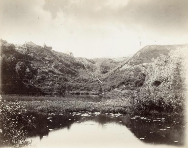 Вид берега реки у города Нежин, 1901 год, Черниговская губ.