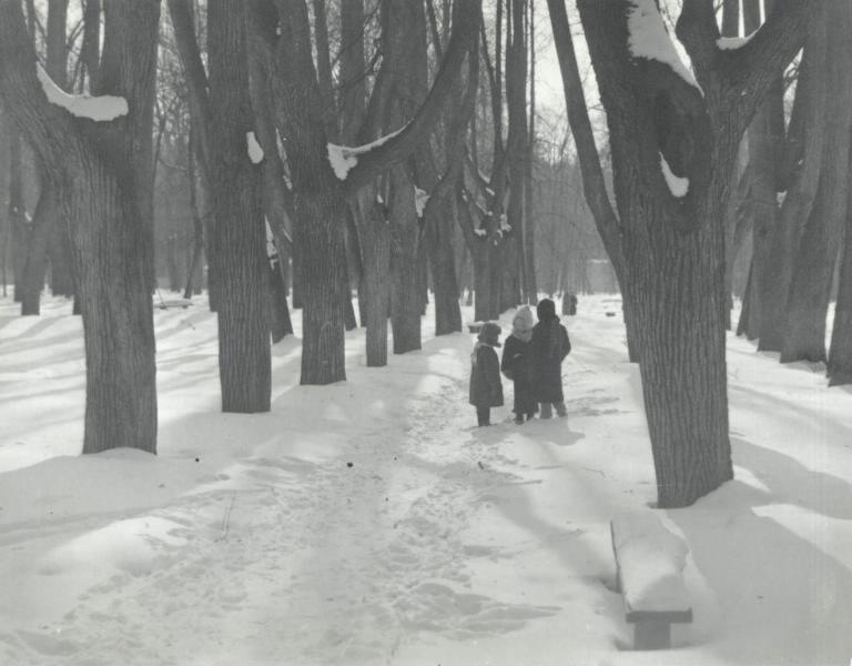 В парке зимой, 1941 год, г. Москва