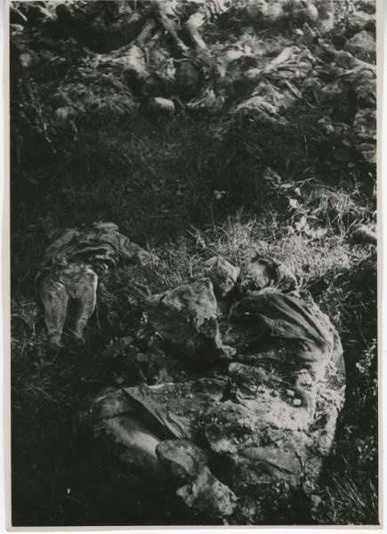 Жертвы фашизма, 1945 год, Польша. Предположительно, концлагерь Майданек под городом Люблин.