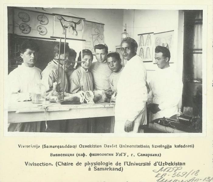 Вивисекция (кафедра физиологии УзГУ, г. Самарканд), 1935 год, Узбекская ССР, Самарканд