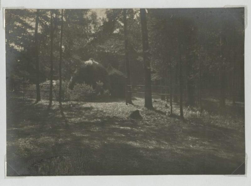 На опушке леса, 1920-е